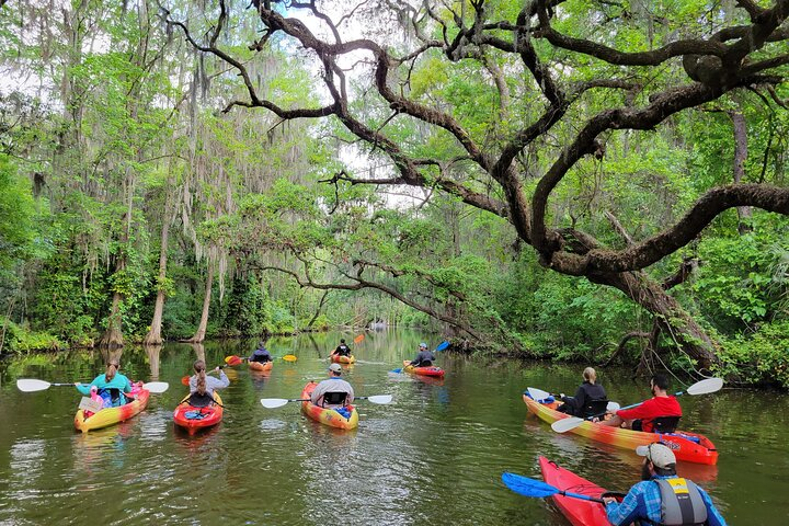 Kayaking in the scenic Dora Canal